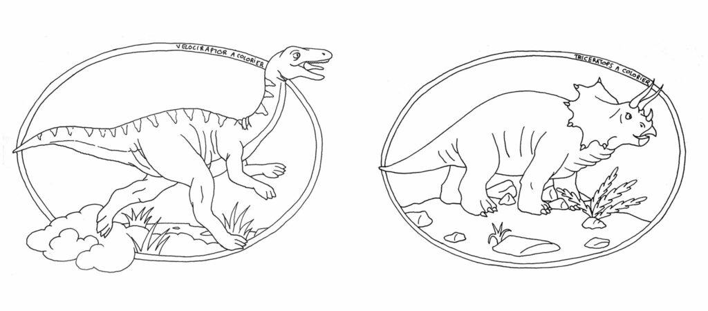 Dinosaures à colorier - Vélociraptor et Tryceratops