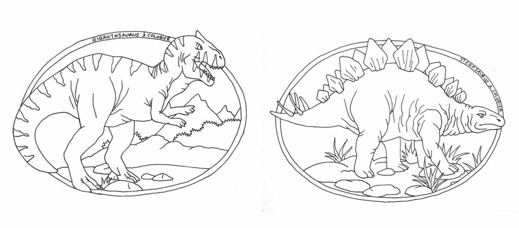Dinosaures à colorier - Gigantosaurus et Stégosaurus