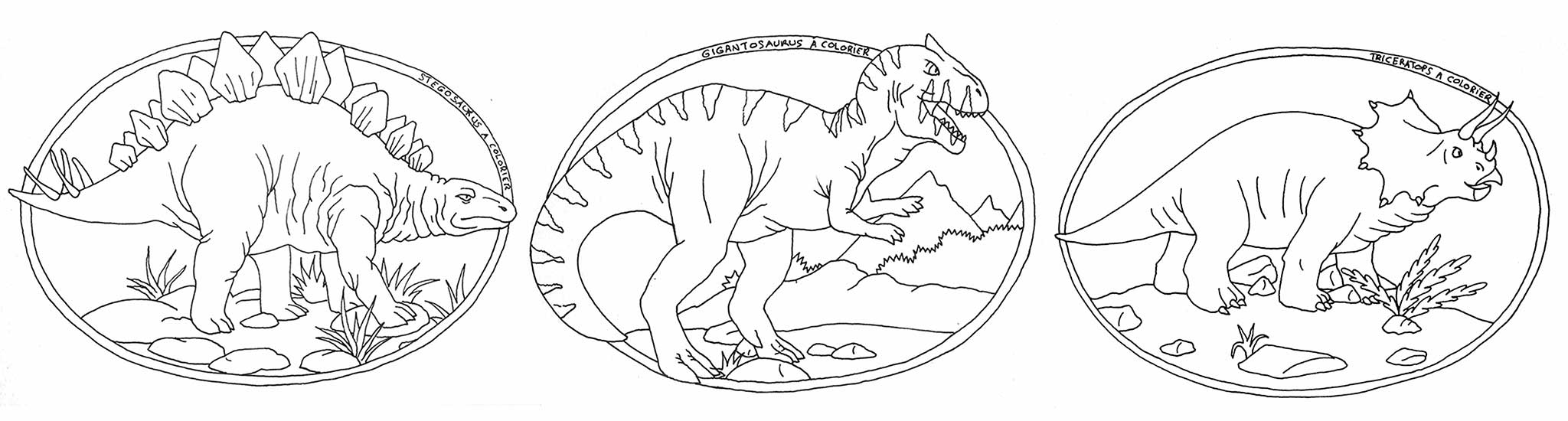 Dinosaures à colorier