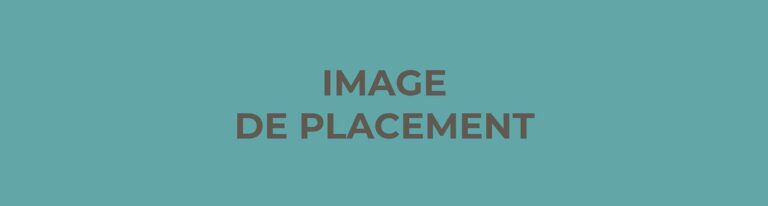 Lire la suite à propos de l’article Camille : vanity ou sacoche ?
